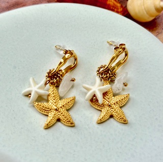 Laguna Stars